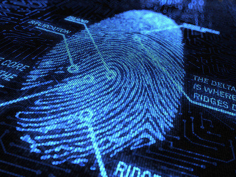Graphic of a blue fingerprint