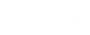 Light Version of Genesis Mobile Fingerprinting Logo